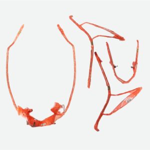 ACCESSORIES STEEL HERO MEASTRO OLD